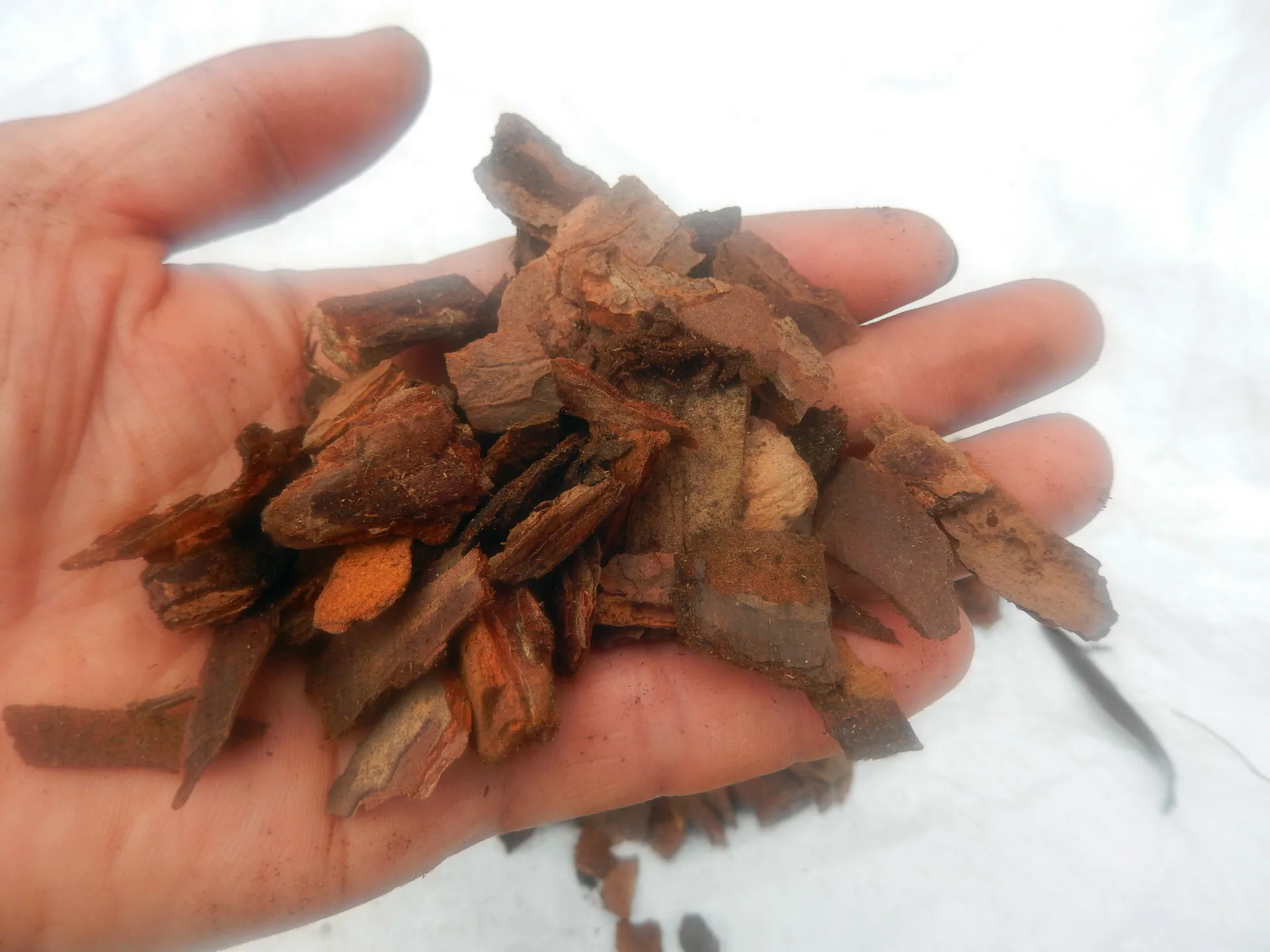 

Fermentation Pine Bark Scales Algam Dendrobium Seedlings Orchid Potted Plant Planting Matrix