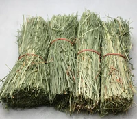 For Sandpaly Soldier Landscape Model Straw Hunts Scene Material 1