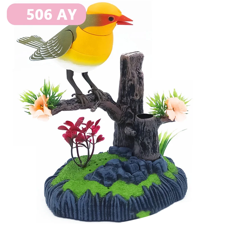 506AY