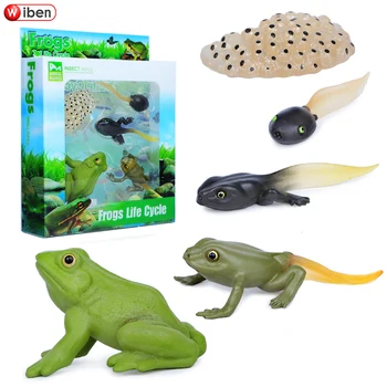 

Simulation insect frogs life cycle set mosquito turtle model ants Action & Toy Figures Learning & Educational Children's Toys