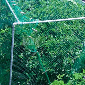 

Anti-Bird Netting, 13.1 x 32.8 Feet Plant Garden Bird Netting Trellis Net for Plant Fruit Tree Protect Sparrow Pest Cat