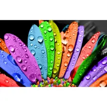 

GATYZTORY Painting By Numbers DIY Colorful Petals Room Wall Art Framed Oil Paint For Adults Home Decoration 60x75cm