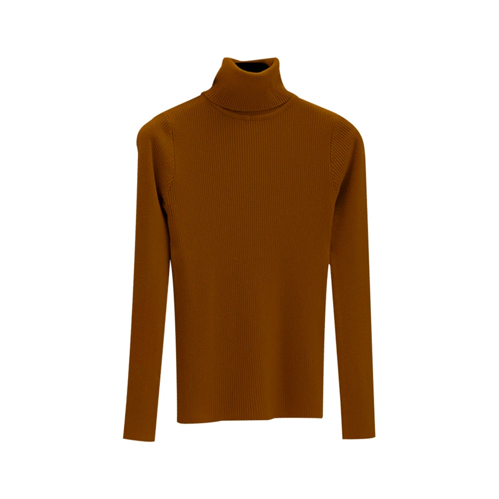LASPERAL Autumn Winter Women Knitted Turtleneck Sweater Casual Soft polo-neck Jumper Fashion Slim Femme Elasticity Pullover