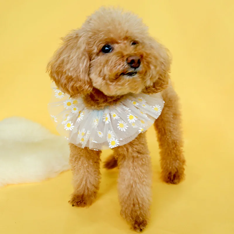 雏菊纱围嘴_0232