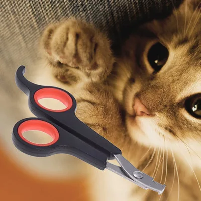 

Multi-colors Pet Dog Cats Nail Clippers Cats nail scissors Fashion Style Stainless Steel Grooming Dog Nail Clippers Scissors@1