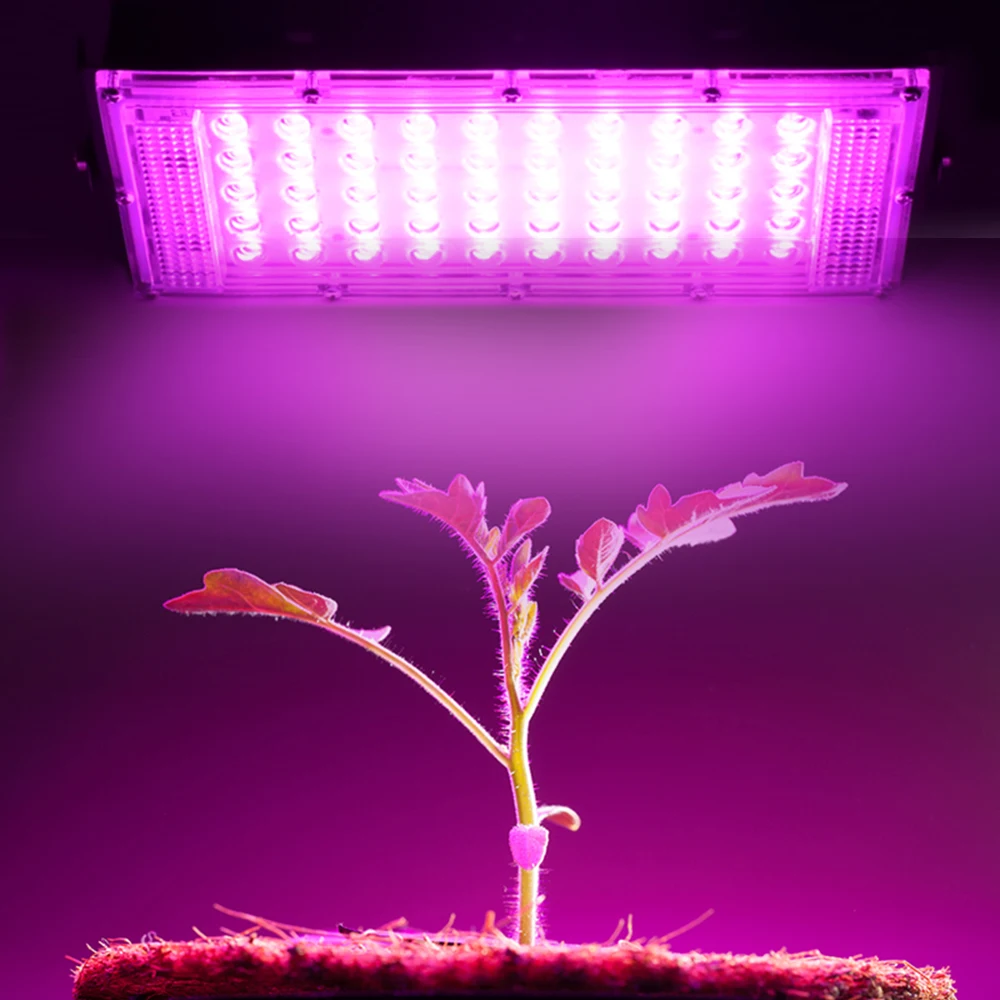 2 개/몫 50W LED 램프 구슬 SMD 2835 LED 칩 스마트 IC 투광 조명 220V 240V 야외 DIY LED 전구 홍수 빛 스포트라이트 조명