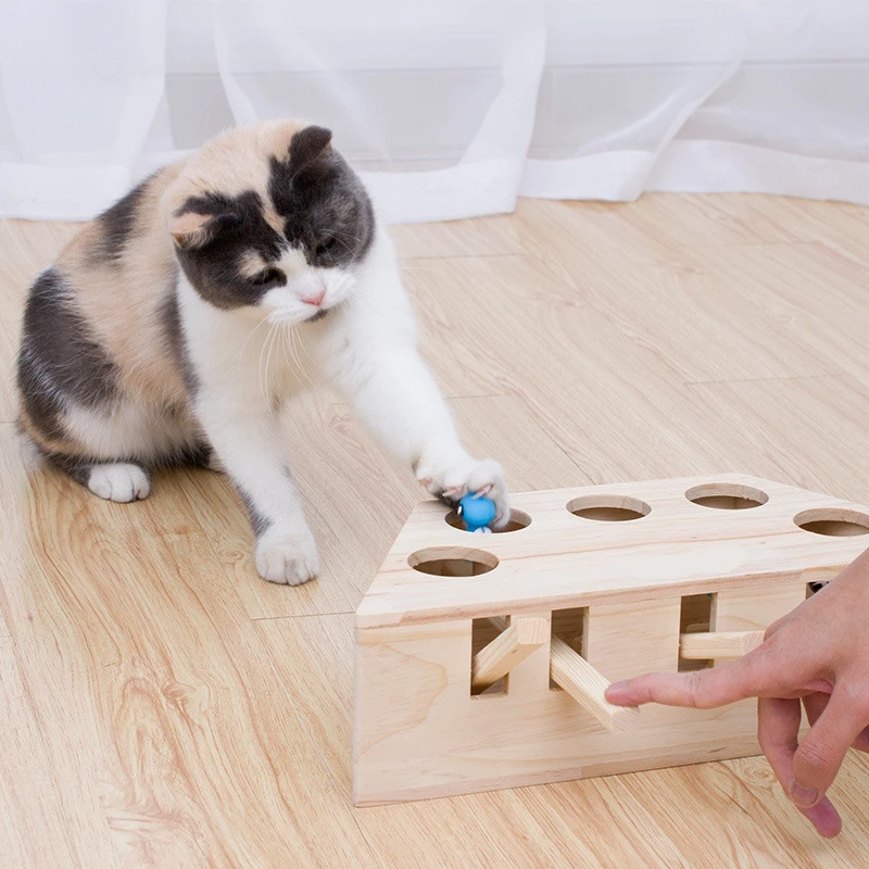 cat hunt toy