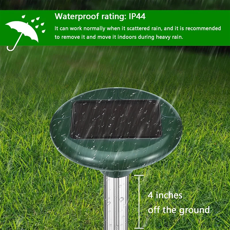 11843_391bbcd575ad410b99fe4f8110088e2d