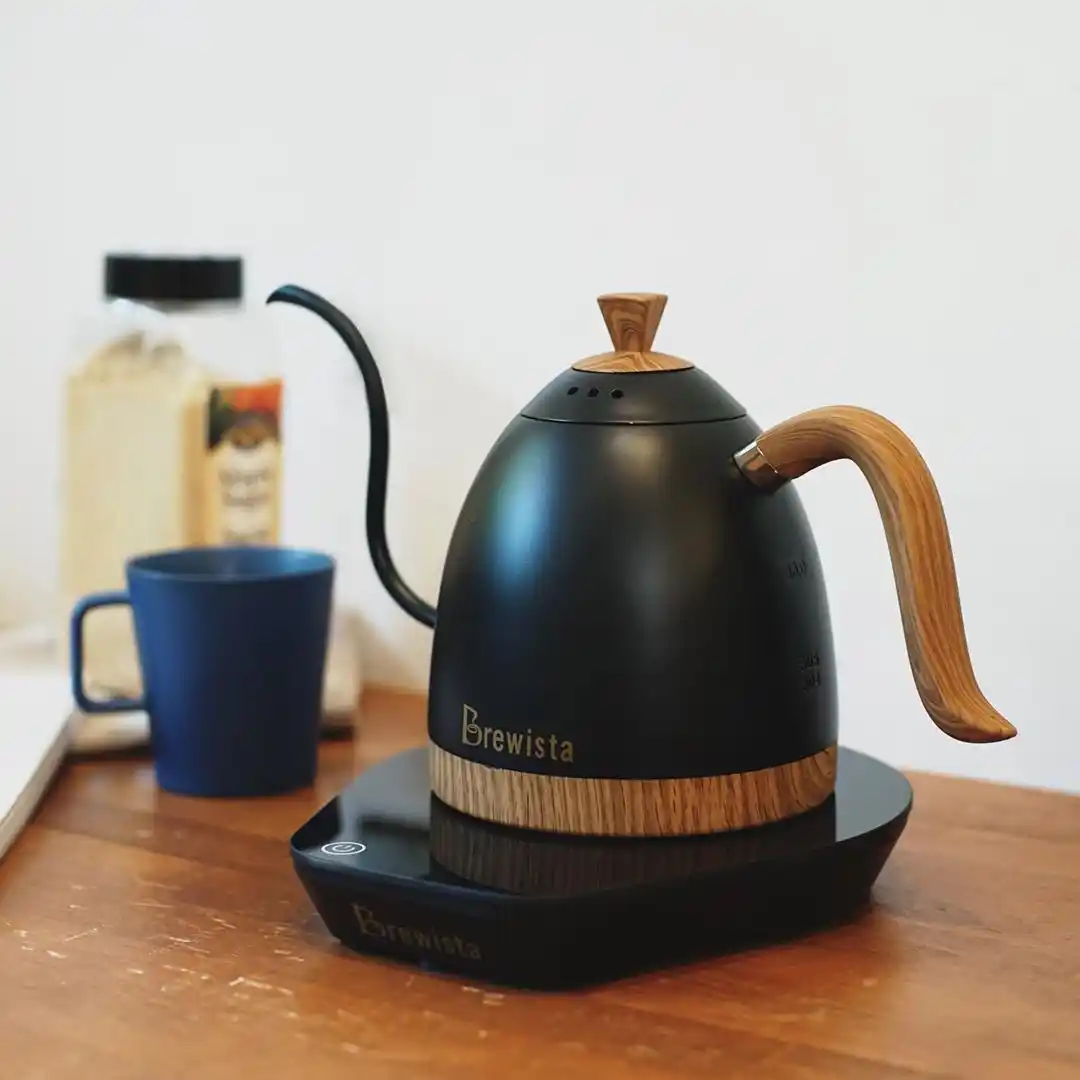 brewista kettle review