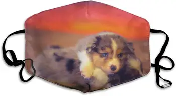 

Lovely Colorful Dogs Anti Dust Mask, Party Outdoor Cool Cotton Mouth Mask for Kids Teens Men Women with Adjustable Ear Loops