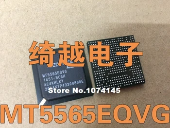 

MT5565EQVG ()