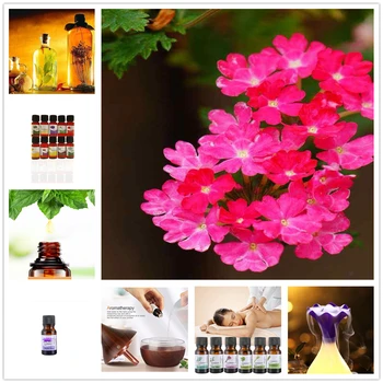 

10ml Water-soluble Plant Essential Oils To Relieve Stress Humidifier Verbena Fragrance Oil Air Fresh Diffuser Aromatherapy TSLM8