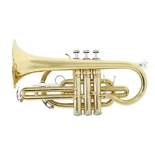 Brushes Cornet Wind-Instrument Brass with Carrying-Case Gloves Bb Ammoon Professional