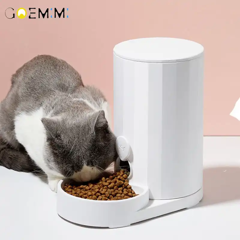 large dog auto feeder