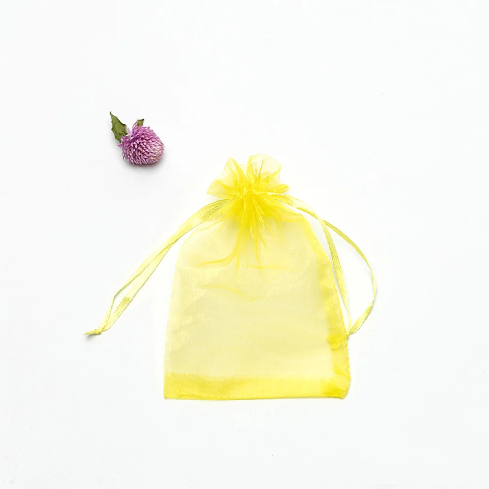 50PCS Garden Vegetables Fruit Grow Plants Protection Bags Anti-Bird Gardening Drawstring Netting Candy Grape Apple Mesh Pouch 