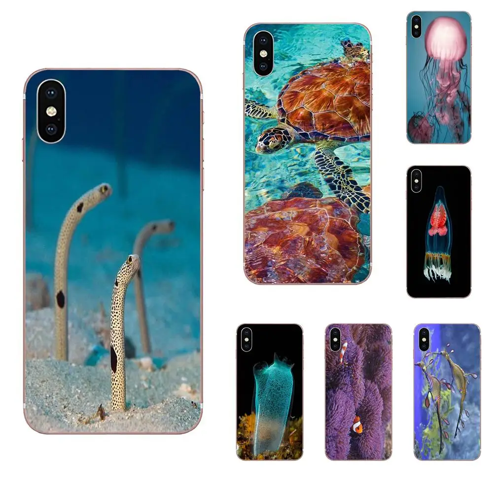 Мягкий протектор экрана для Xiaomi Redmi Mi 4 7A 9T K20 CC9 CC9e Note 7 9 Y3 SE Pro Prime Go Play под Sealife style |