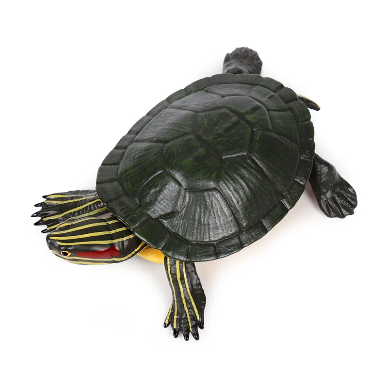 

Brazil Turtle Animal Model Action Figure Simulation Sea Life Animal Action Figures Collection PVC Toy Kids Gift