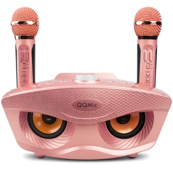 

QQ-Mic Rechargeable Bluetooth Speaker for Kids Adults Portable Karaoke Machine for Party Portable Speaker with 2 Microphone