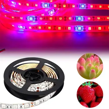 

LED Strip Grow Light IP65 LED Light Strip Indoor Greenhouse Plant Waterproof Eco-Friendly Light Strip Vegetables Hydroponic