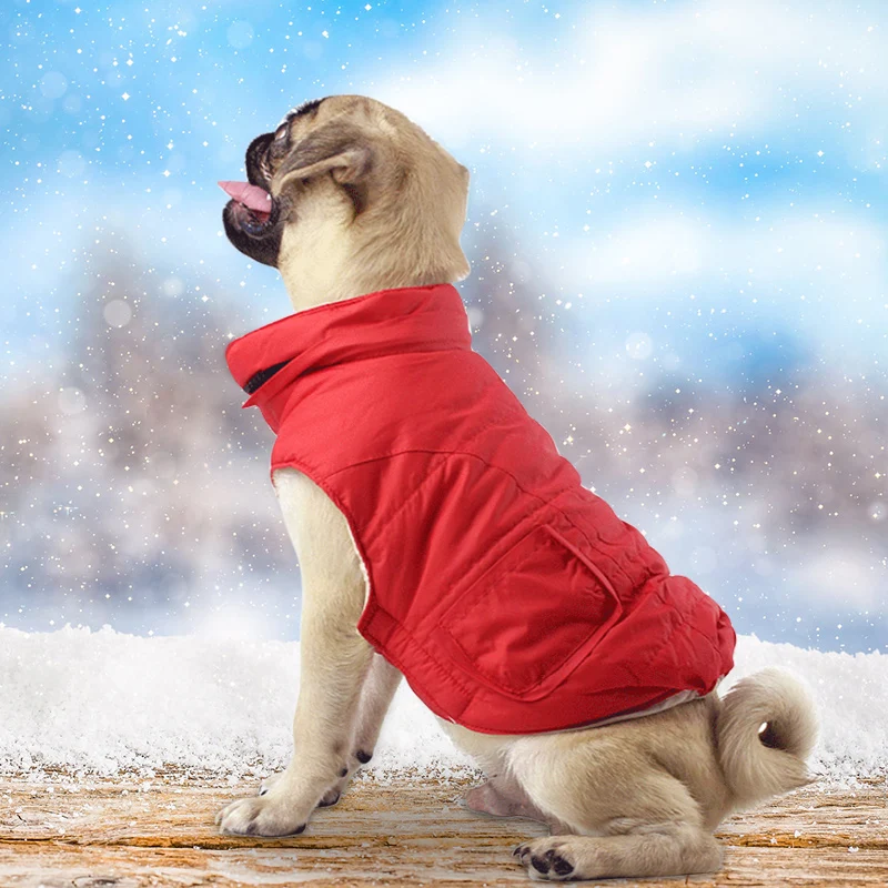 Одежда для домашних животных, осенне-зимний теплый жилет, пальто для маленьких и средних собак, пуховая куртка с капюшоном, куртка для собак, французская одежда для бульдога 35