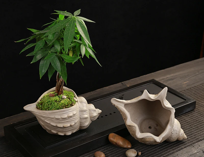 Креативная грубая керамика цветочный горшок в форме раковины Керамический суккулентный горшок держатель Сказочный Сад кактус цветочные горшки для выращивания