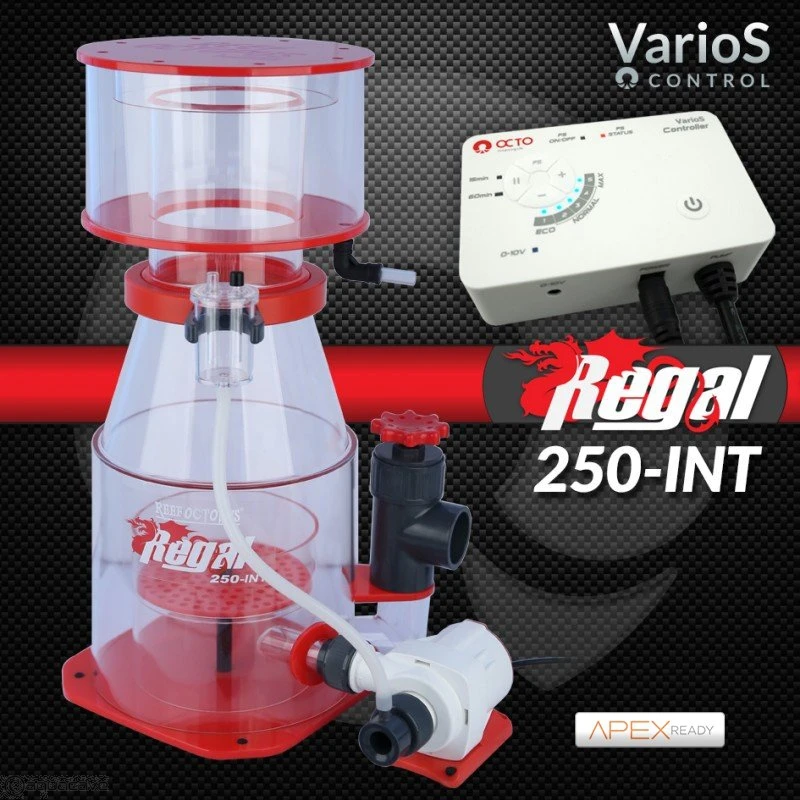 regal250int-500-1