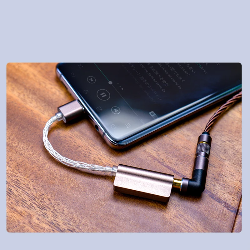 DUNU DTC100 ESS9118EC USB DAC Cable TYPE-C to 3