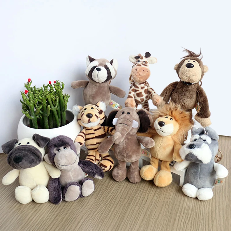 dsc-products