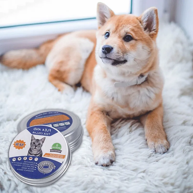 Adjustable Mosquito Natural Essential Oil Safe Repellent Flea Treatment Prevention Collar Cat Supplies