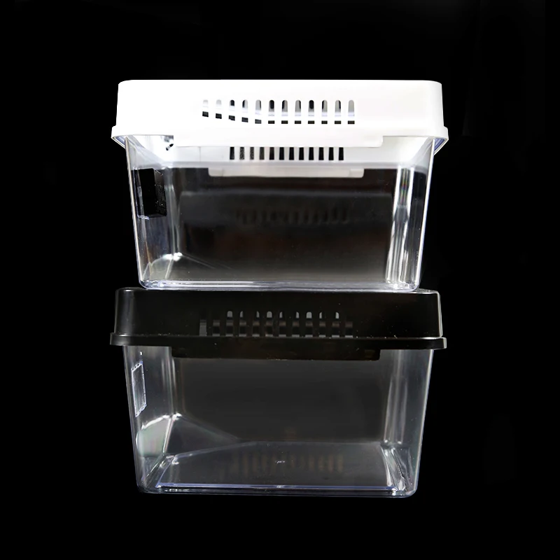 Plastic Container Reptile Feeding Box Spider Scorpion Insect Terrarium Breeding Box