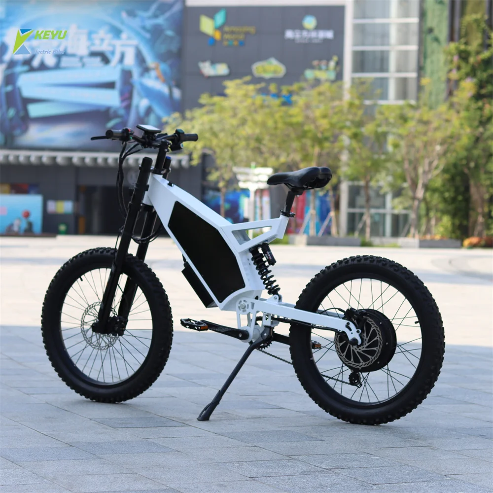 Electric Bicycle 