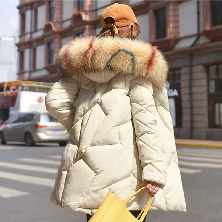 微信图片_201908191434469