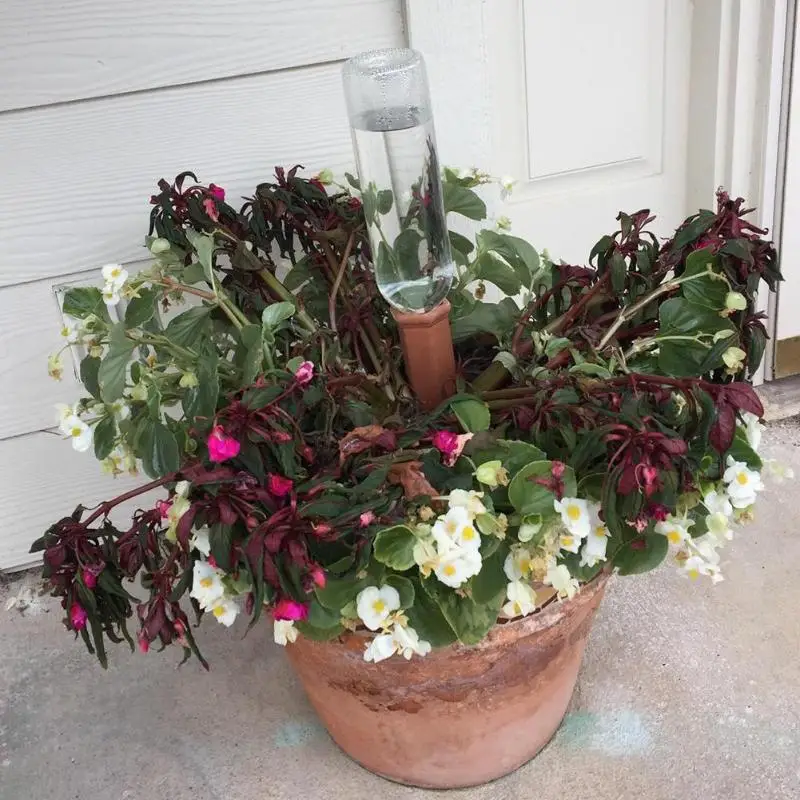 6 шт. домашняя автоматическая система капельного орошения, полива растений, автоматическая бутылка для полива, капельная самополивающаяся Колка