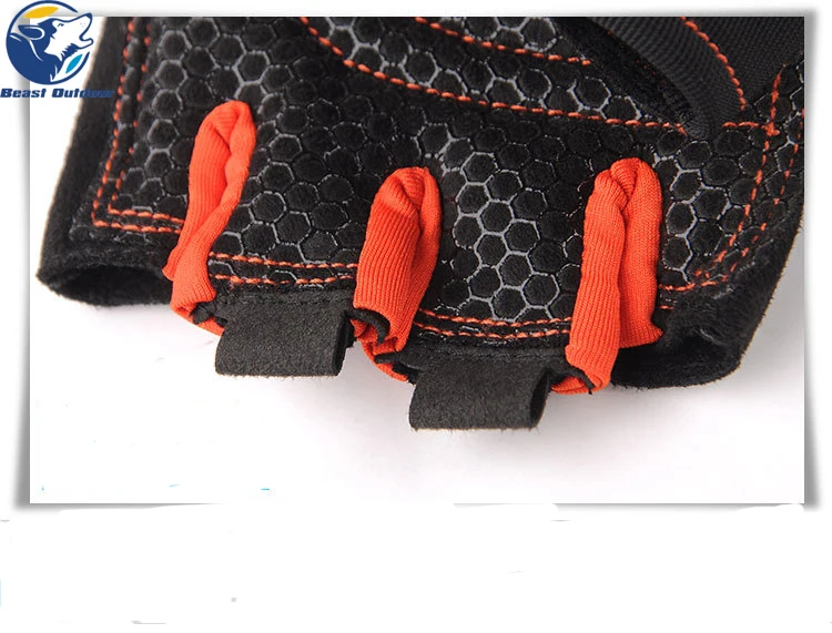 12086814426_518899789