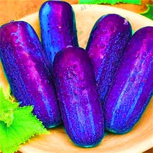 Промотирование потери! белый огурец бонсай, Cuke растения зеленые овощи плантас балкон садовые фрукты-100 шт,#0MHRUY