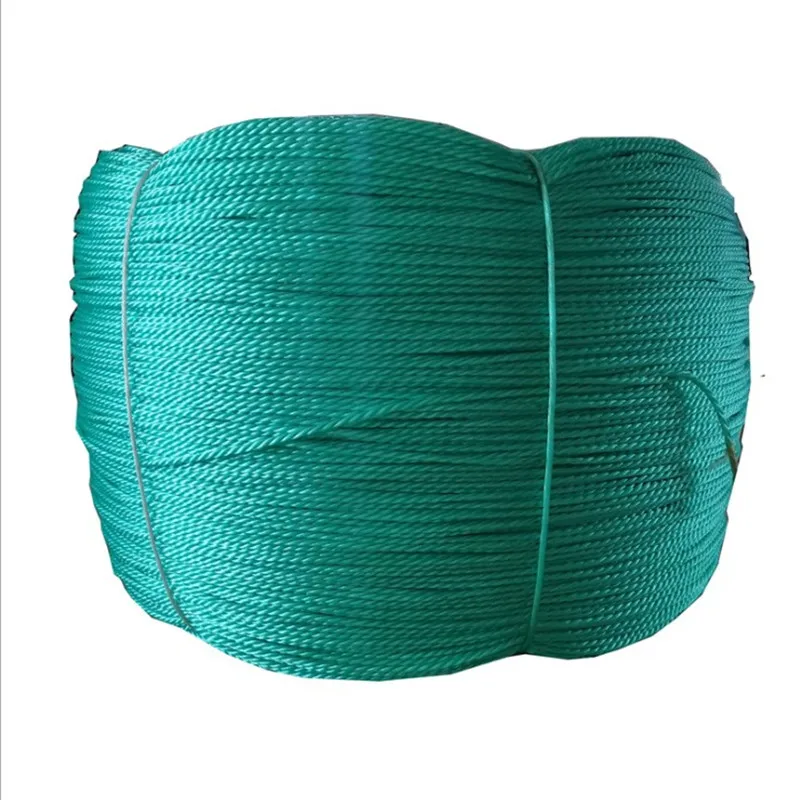 1/2/3/4mm Polyethylene Nylon Rope Plastic Rope Binding Greenhouse Hanging  Seedling Climbing Rattan Color Thin Wire Braided Rope - Cords - AliExpress