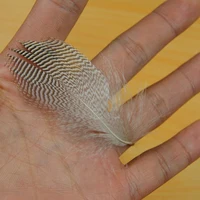 Natural Barred Mallard Duck Flank Feathers 50PCS/Bag 3