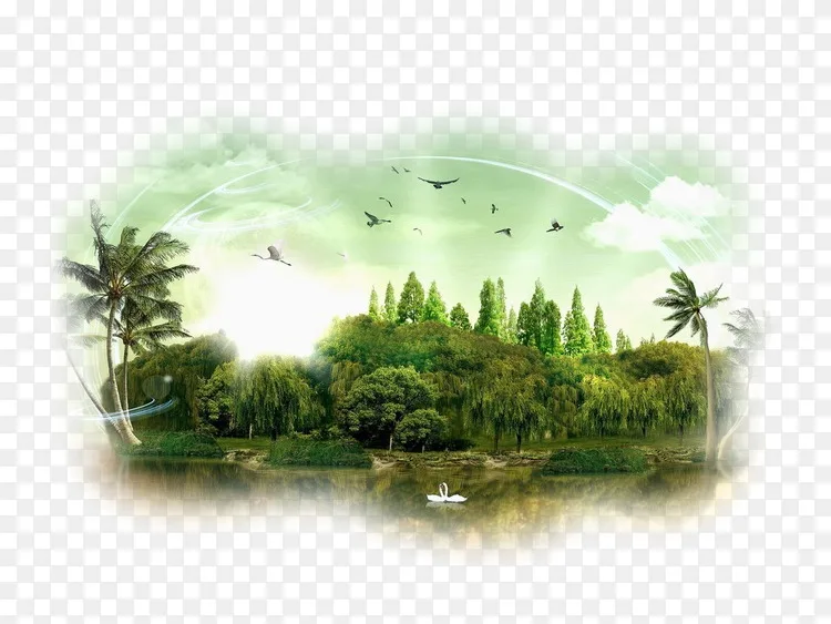 桌面壁纸图片水影神话阴谋 绊倒自然背景森林png图片素材免费下载 图片编号 Png素材网