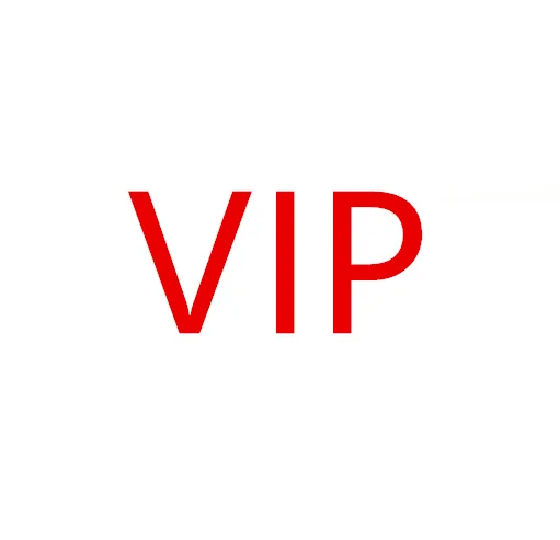 VIP | Багаж и сумки