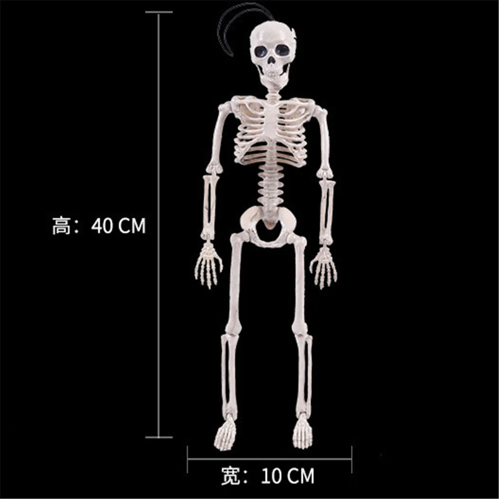 

Skeleton Model Medical Wholesale Medical Learn Aid Anatomy art sketch 40CM Halloween Flexible Human Anatomical Anatomy bone