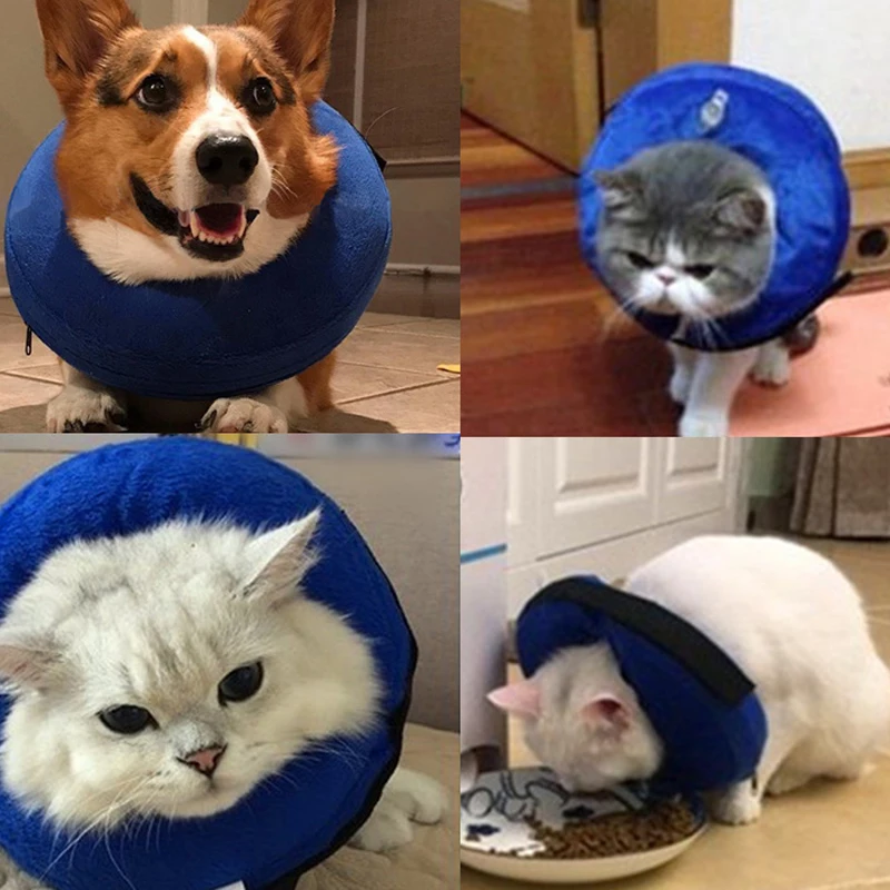 Pet защитный ошейник ПВХ надувной шейный конус кошки анти-укус анти-разбивание шеи Круг травма восстановление для маленьких больших собак