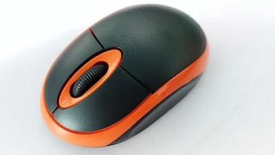 4213821511_1253356193.400x400
