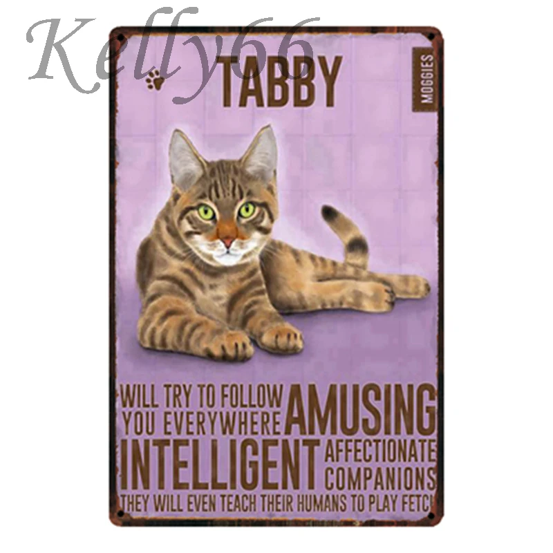 [Kelly66] домашние кошки Ragdoll синий сиамский табби имбирь металлический знак Олово плакат домашний Декор Бар настенная живопись 20*30 см размер Dy32 - Цвет: y-1793