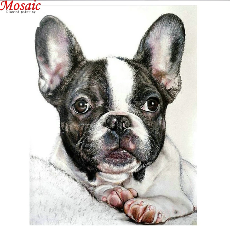 Cartello Di Parcheggio Bull Dog Francese