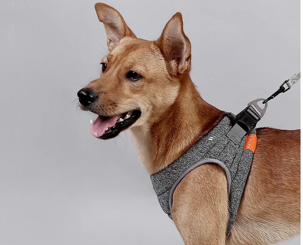 

Explosion-proof Dog Cat Harness Pet Adjustable Reflective Vest Walking Lead Leash for Puppy Harness for Small Medium Dog