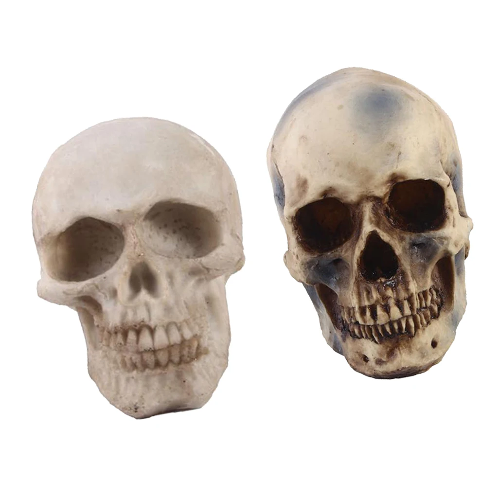 2pcs Realistic Replica Human Skull Resin Skull Skeleton Head 