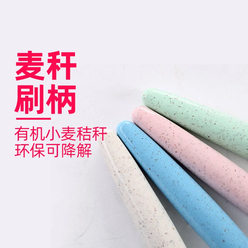 Kent Wheat Straw Toothbrush Adult Soft Bristle Bamboo Charcoal Spare Charcoal Bar Household Family Portable Travel Pack