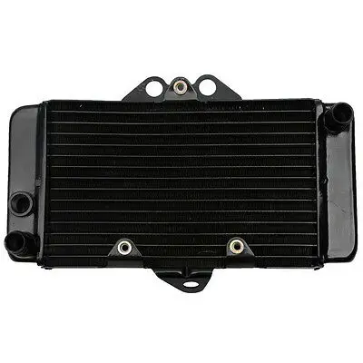 Motorcycle Radiator Cooler Cooling For Honda VTR250 1997-2007 98 99 00 01 02 03 04 05 06