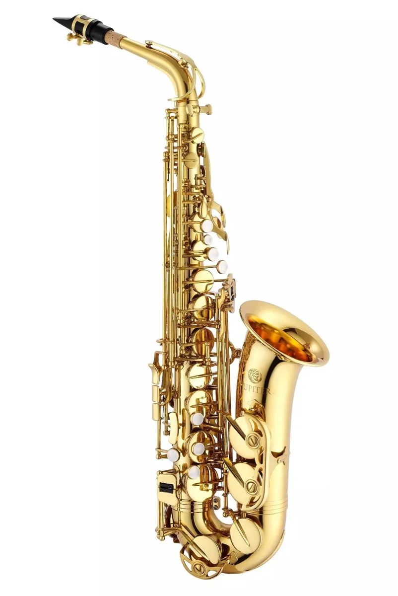 JM JAS 1100SG Alto Eb Tune саксофон латунный никель-посеребренный корпус золотой лак ключ музыкальный инструмент e-плоский саксофон с Чехол - Цвет: golden