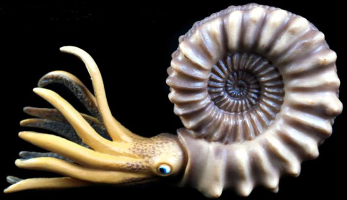 Nautilus имитация раковины аквариум модель животного игрушка подводный мир пластик твердый ребенок когнитивный подарок - Цвет: 15 x 4 x 8cm